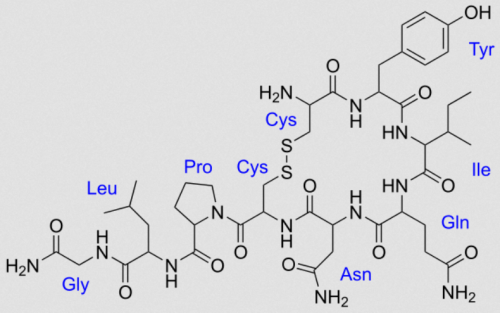 オキシトシンの構造式